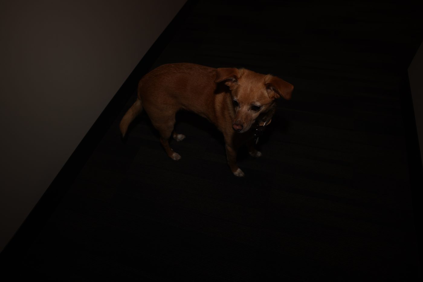 0T9A0002.JPG