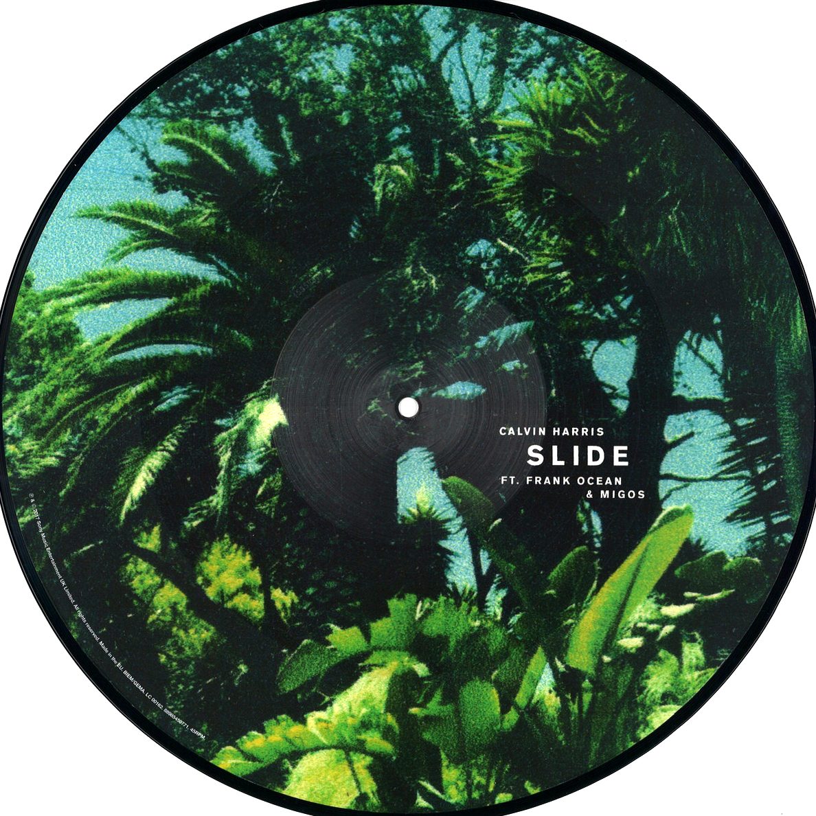 Slide [4 - Picture Disc].jpg