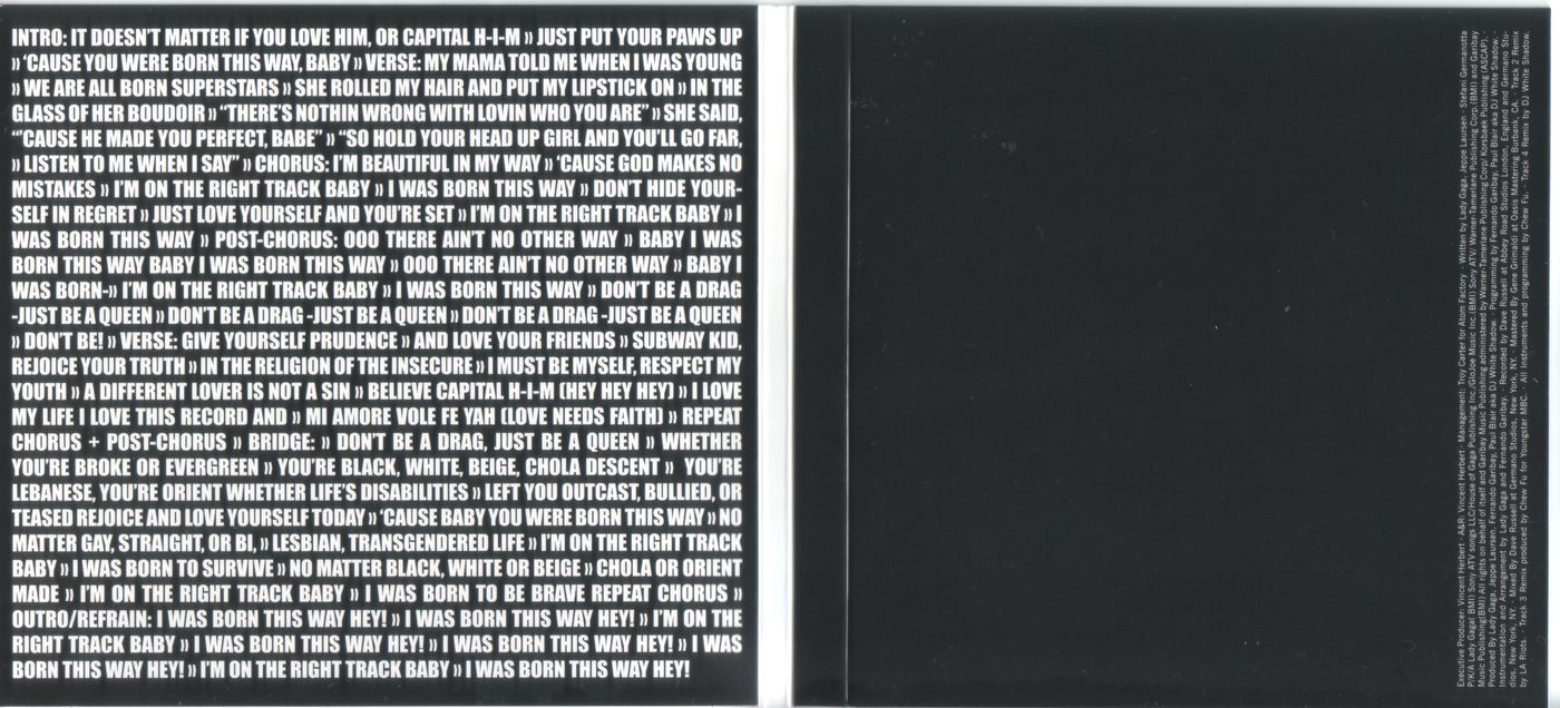DigiSleeve_Inside_300dpi.jpg