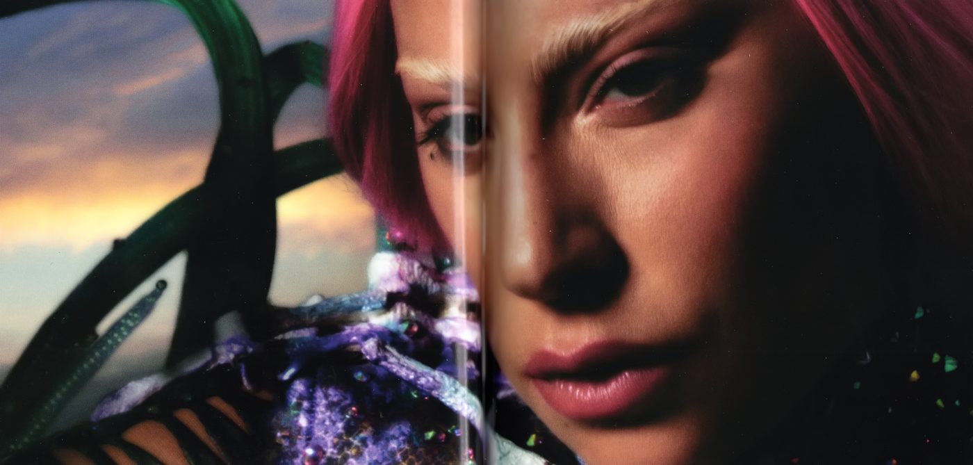 Booklet-15.png