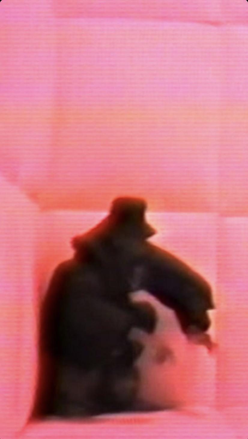 lzetljabf8761.jpg